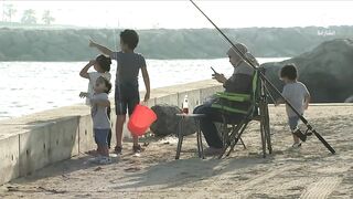 الشارقة регулирует любительскую рыбалку что изменилось для отдыхающих и местных