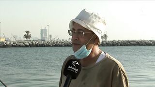 الشارقة регулирует любительскую рыбалку что изменилось для отдыхающих и местных