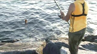 الشارقة регулирует любительскую рыбалку что изменилось для отдыхающих и местных