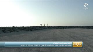 الشارقة регулирует любительскую рыбалку что изменилось для отдыхающих и местных