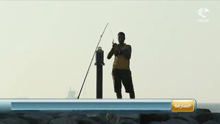الشارقة регулирует любительскую рыбалку что изменилось для отдыхающих и местных