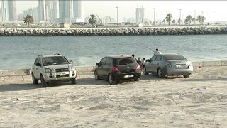 الشارقة регулирует любительскую рыбалку что изменилось для отдыхающих и местных