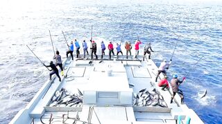 TUNA MALDIVES день на воде и быстрые поклевки по стае