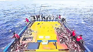 Устойчивая ловля тунца skipjack на Maldives и бережное отношение рыбаков к океану