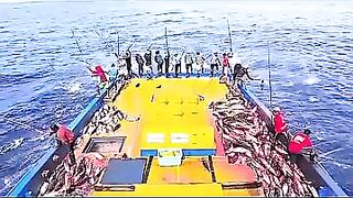 Устойчивая ловля тунца skipjack на Maldives и бережное отношение рыбаков к океану