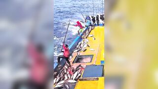 Устойчивая ловля тунца skipjack на Maldives и бережное отношение рыбаков к океану