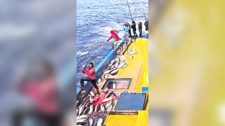 Устойчивая ловля тунца skipjack на Maldives и бережное отношение рыбаков к океану