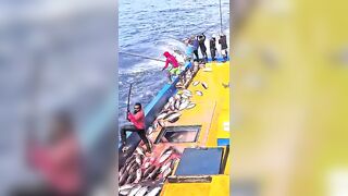 Устойчивая ловля тунца skipjack на Maldives и бережное отношение рыбаков к океану