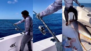 Maldives, двойной yellowfin tuna в кадре и почему так редко выходит?