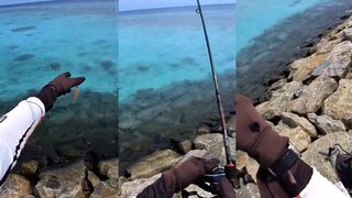 Maldives морская рыбалка на Giant Trevally и мощные рывки у рифа