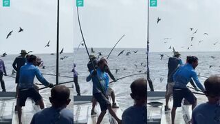 Maldives: самый устойчивый способ ловли - красиво, но что по рыбе