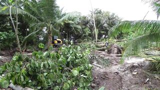 Фуладу: Мальдивы по цене Таиланда, рыбалка и охота на осьминога