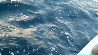 Yellowfin tuna в Maldives быстрый бой и техника вываживания без лишних слов