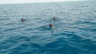 Yellowfin tuna в Maldives быстрый бой и техника вываживания без лишних слов