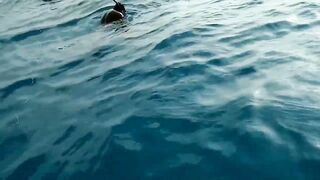 Yellowfin tuna в Maldives быстрый бой и техника вываживания без лишних слов