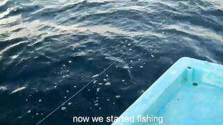 Yellowfin tuna в Maldives быстрый бой и техника вываживания без лишних слов