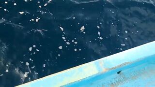 Yellowfin tuna в Maldives быстрый бой и техника вываживания без лишних слов