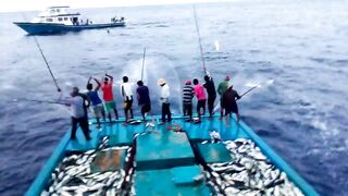 Maldives pole and line fishery ловля по одной рыбе и почему это работает на островах