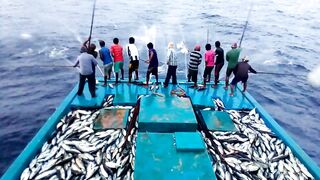 Maldives pole and line fishery ловля по одной рыбе и почему это работает на островах