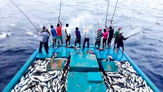 Maldives pole and line fishery ловля по одной рыбе и почему это работает на островах