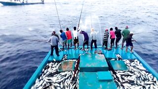 Maldives pole and line fishery ловля по одной рыбе и почему это работает на островах