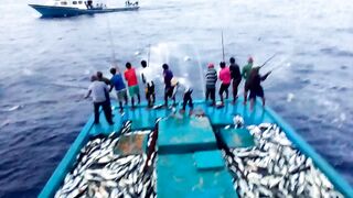 Maldives pole and line fishery ловля по одной рыбе и почему это работает на островах