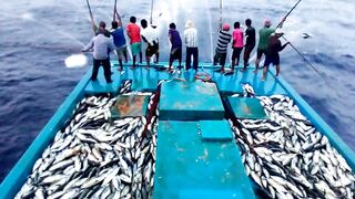 Maldives pole and line fishery ловля по одной рыбе и почему это работает на островах