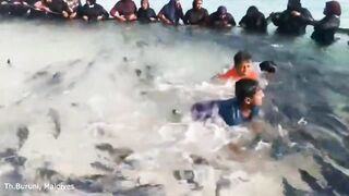 Kids Fishing в Maldives что ловят дети и какая наживка дает результат