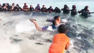 Kids Fishing в Maldives что ловят дети и какая наживка дает результат