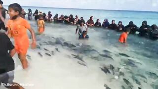 Kids Fishing в Maldives что ловят дети и какая наживка дает результат