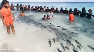 Kids Fishing в Maldives что ловят дети и какая наживка дает результат