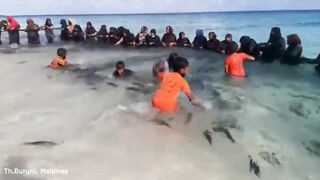 Kids Fishing в Maldives что ловят дети и какая наживка дает результат