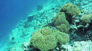 Ukulhas Maldives - всё о локальном острове и бюджетной поездке, где ловить рядом с пляжем