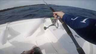 Goidhoo 2023: морская рыбалка на Мальдивах без лишнего пафоса