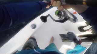 Goidhoo 2023: морская рыбалка на Мальдивах без лишнего пафоса