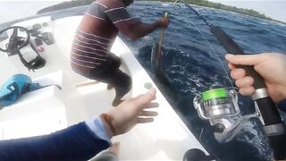 Goidhoo 2023: морская рыбалка на Мальдивах без лишнего пафоса