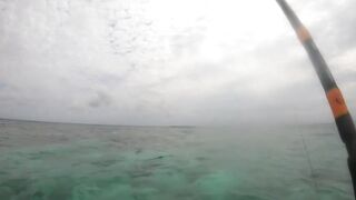 Maldives Beach Fishing Feridhoo 2020 что ловили на пляже и в какое время лучше выходить