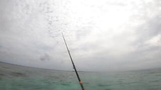 Maldives Beach Fishing Feridhoo 2020 что ловили на пляже и в какое время лучше выходить