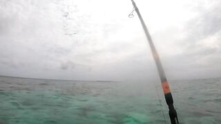 Maldives Beach Fishing Feridhoo 2020 что ловили на пляже и в какое время лучше выходить