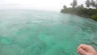 Maldives Beach Fishing Feridhoo 2020 что ловили на пляже и в какое время лучше выходить