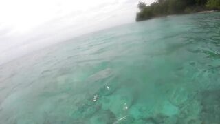 Maldives Beach Fishing Feridhoo 2020 что ловили на пляже и в какое время лучше выходить