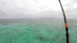 Maldives Beach Fishing Feridhoo 2020 что ловили на пляже и в какое время лучше выходить