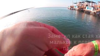 Turkey самое дикое рыболовное приключение и правда ли там трофей?