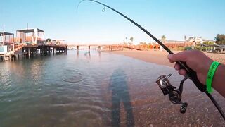 Turkey самое дикое рыболовное приключение и правда ли там трофей?