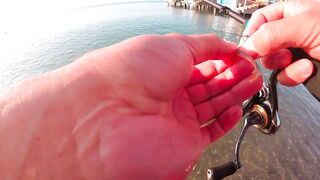 Turkey самое дикое рыболовное приключение и правда ли там трофей?