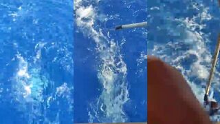 Alanya - поймали тунца и как тащили трофей у берега