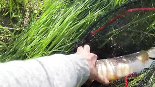 Derede Savaş, рекордная alabalık avı и открытие сезона 2021 на ручье