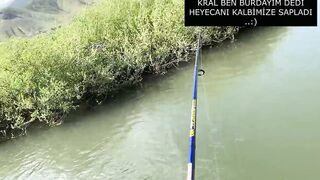 Derede Savaş, рекордная alabalık avı и открытие сезона 2021 на ручье