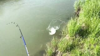 Derede Savaş, рекордная alabalık avı и открытие сезона 2021 на ручье