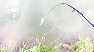 Derede Savaş, рекордная alabalık avı и открытие сезона 2021 на ручье